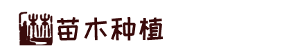完美体育平台入口官网(官方)网站/网页版登录入口